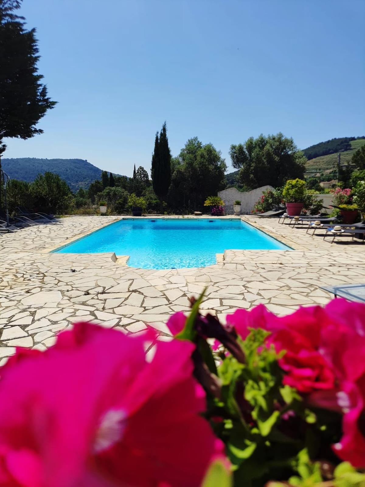 Logement La Belle Provence Le Beausset Buitenkant foto